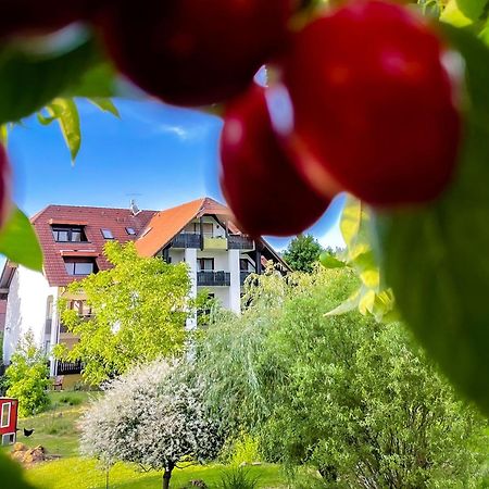 Gasthaus Hirschenstube & Gaestehaus Gehri Waldkirch Dış mekan fotoğraf