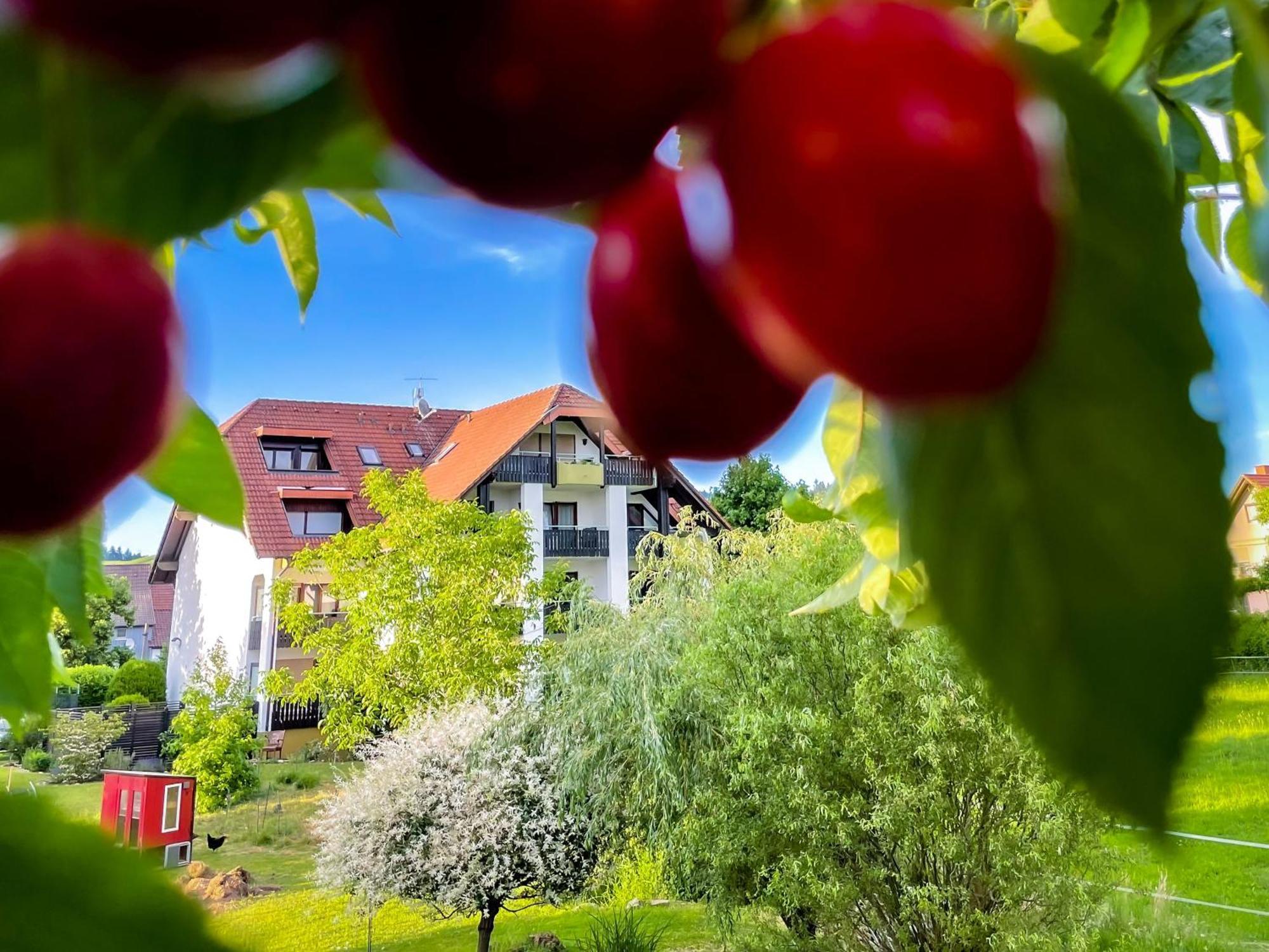 Gasthaus Hirschenstube & Gaestehaus Gehri Waldkirch Dış mekan fotoğraf